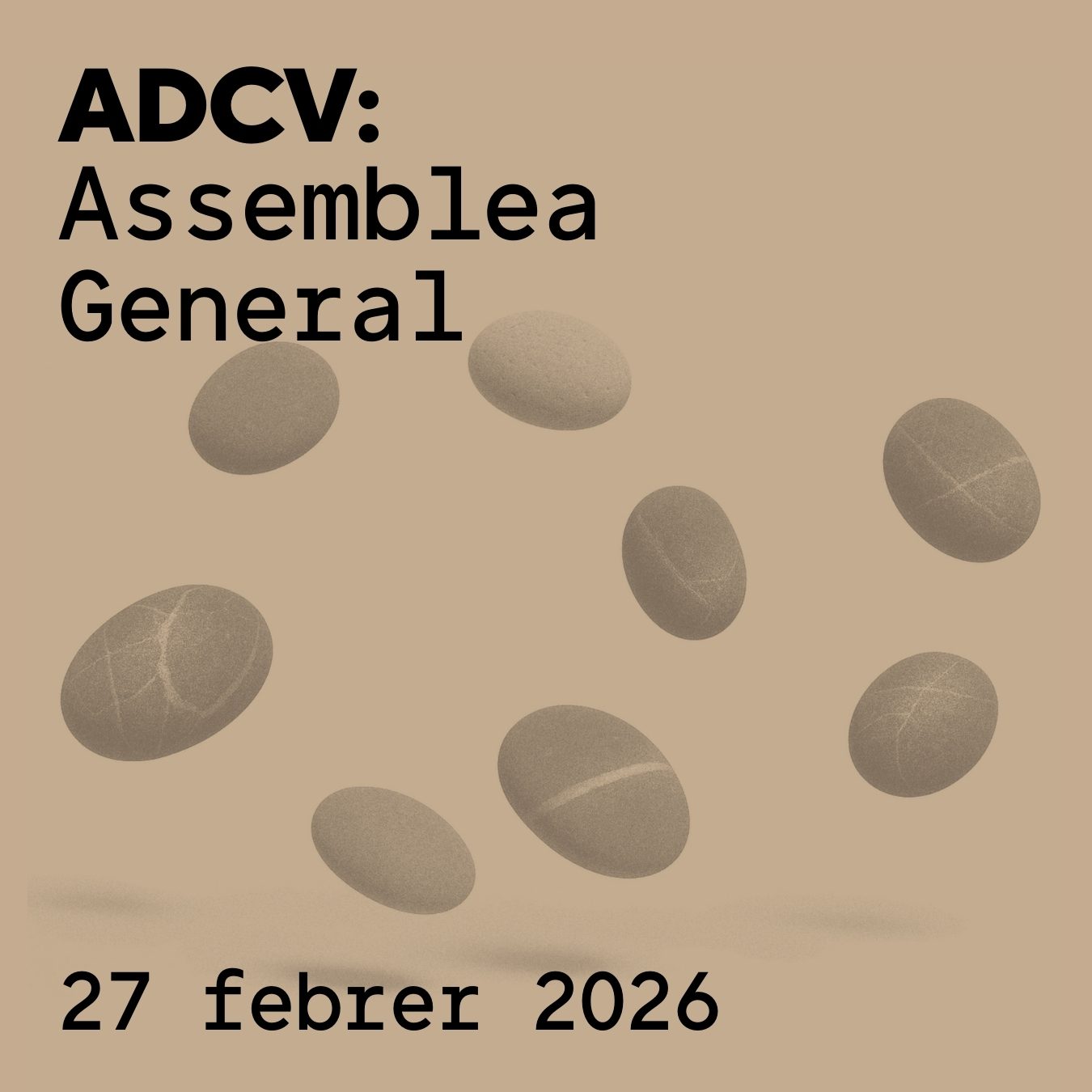 L’ Assemblea General avala per unanimitat la gestió de 2025 i el pla d’acció per a 2026